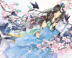 日韩影视自动跳转